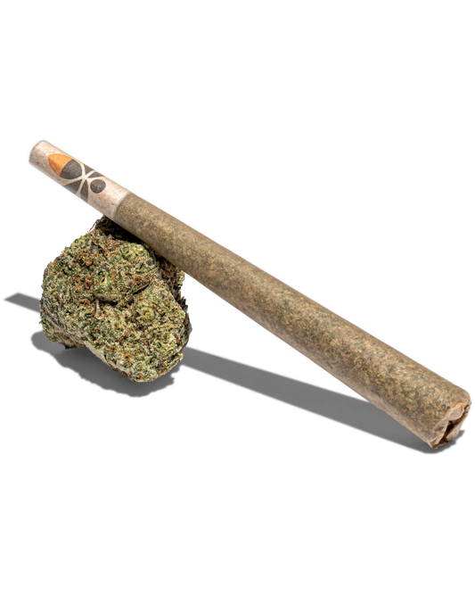 Jack Herer Pre-Roll